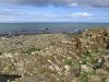 The Giant´s Causeway